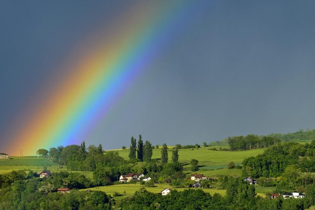 凤飞飞的歌声,气息绵长,热情奔放,充满能量,带给人的,是慰借和希望,所有这一切,都可以用彩虹作为象征摄:JEAN-PHILIPPE DELOBELLE / BIOSPHOTO / AFP