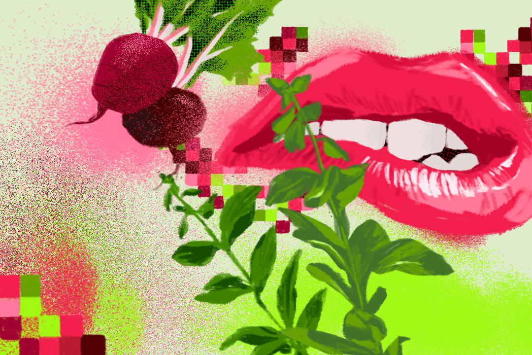 端傳媒 Sarene Chan 繪製