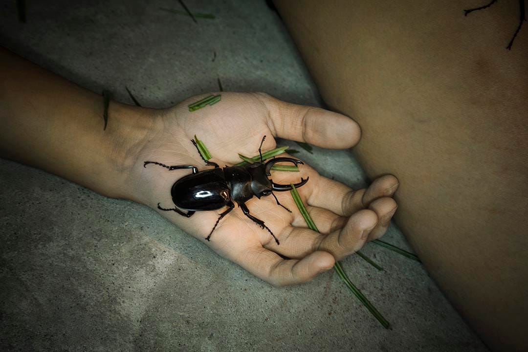 图片由 国立台北艺术大学艺术与科技中心 提供