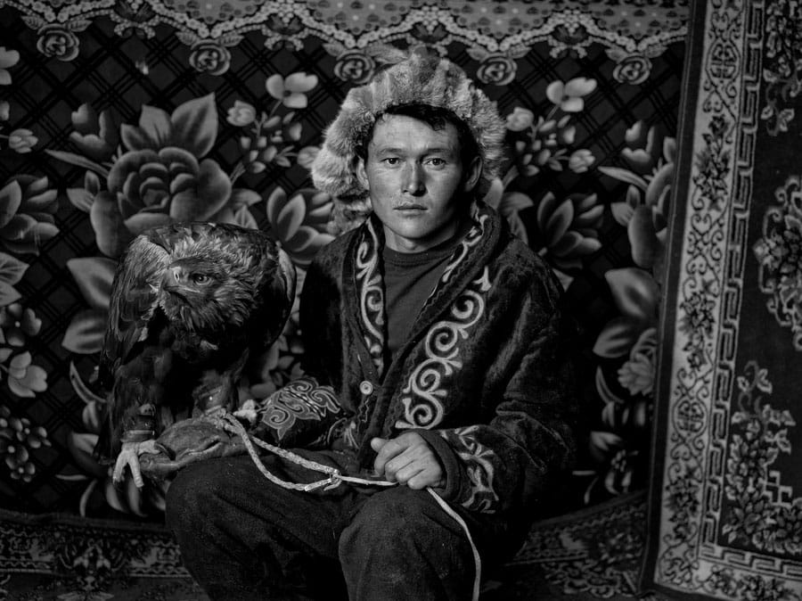 图片故事《Hunting with Eagles》。摄:Palani Mohan