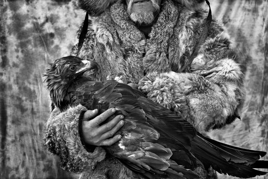 图片故事《Hunting with Eagles》。摄:Palani Mohan