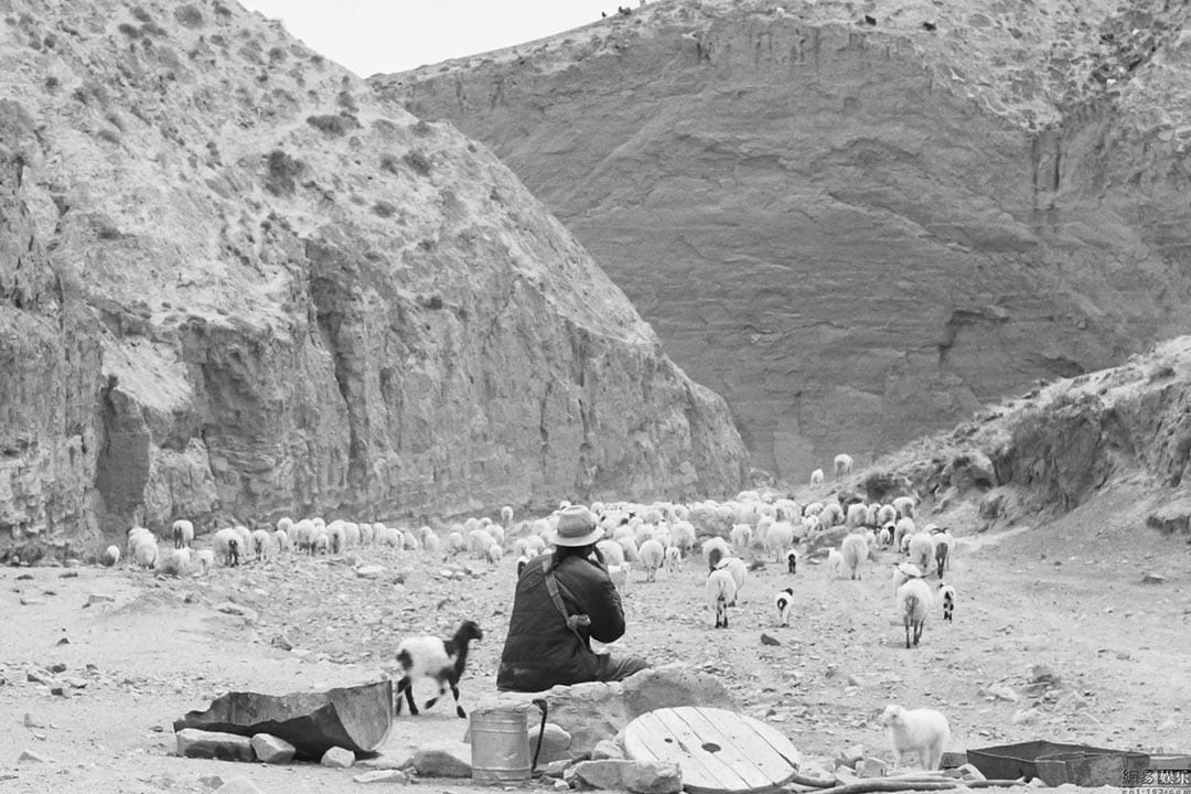 《塔洛》从一个牧羊人办身份证的过程呈现藏族文化和城市文明之间的冲击,由万玛才旦的小说改编。《塔洛》剧照