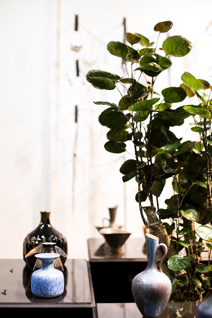 圖片由 XLICP 提供