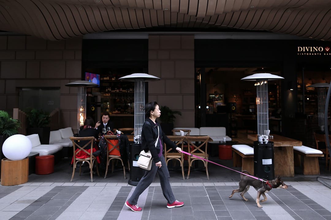 2016年3月14日,湾仔新鸿基中心的餐厅外,一名女子与小狗散步。摄:卢翊铭/端传媒