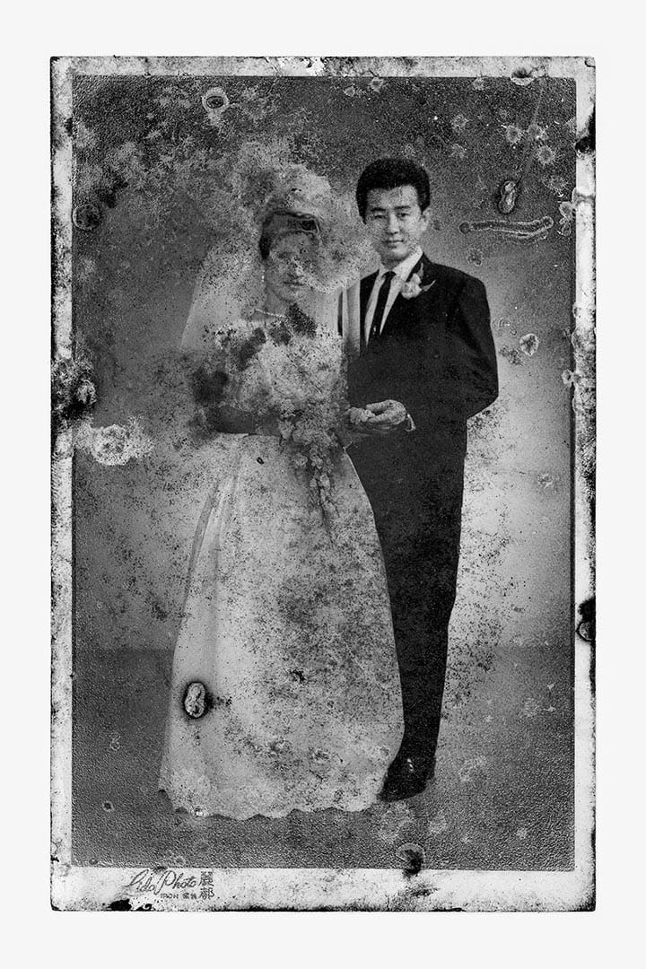 圖片由 Artify Gallery 提供