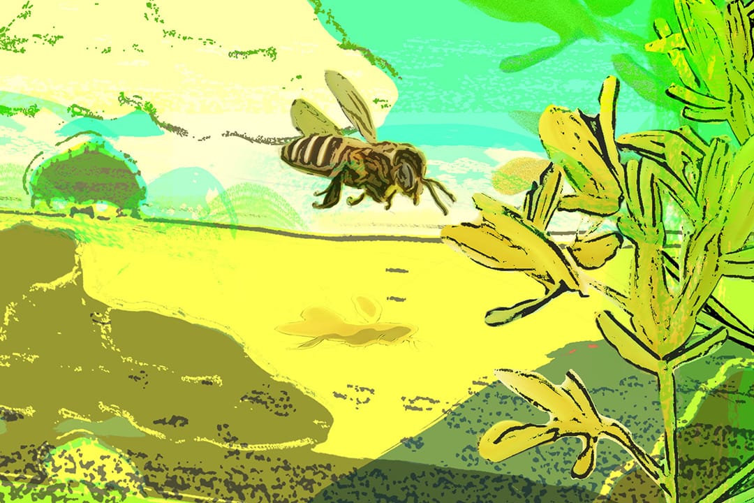 圖：Wilson Tsang / 端傳媒