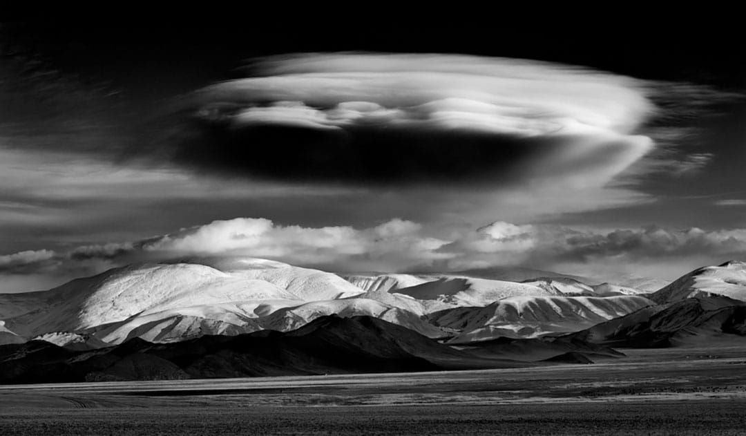 图片故事《Hunting with Eagles》。摄:Palani Mohan