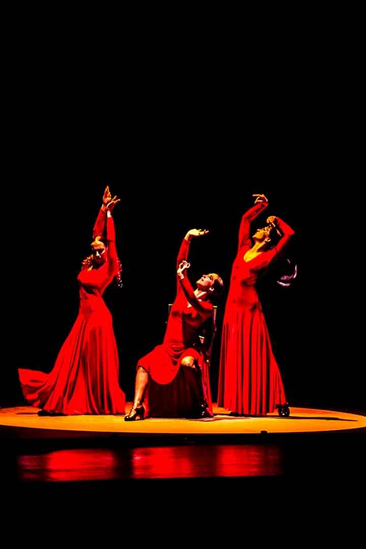 圖片由康文署提供