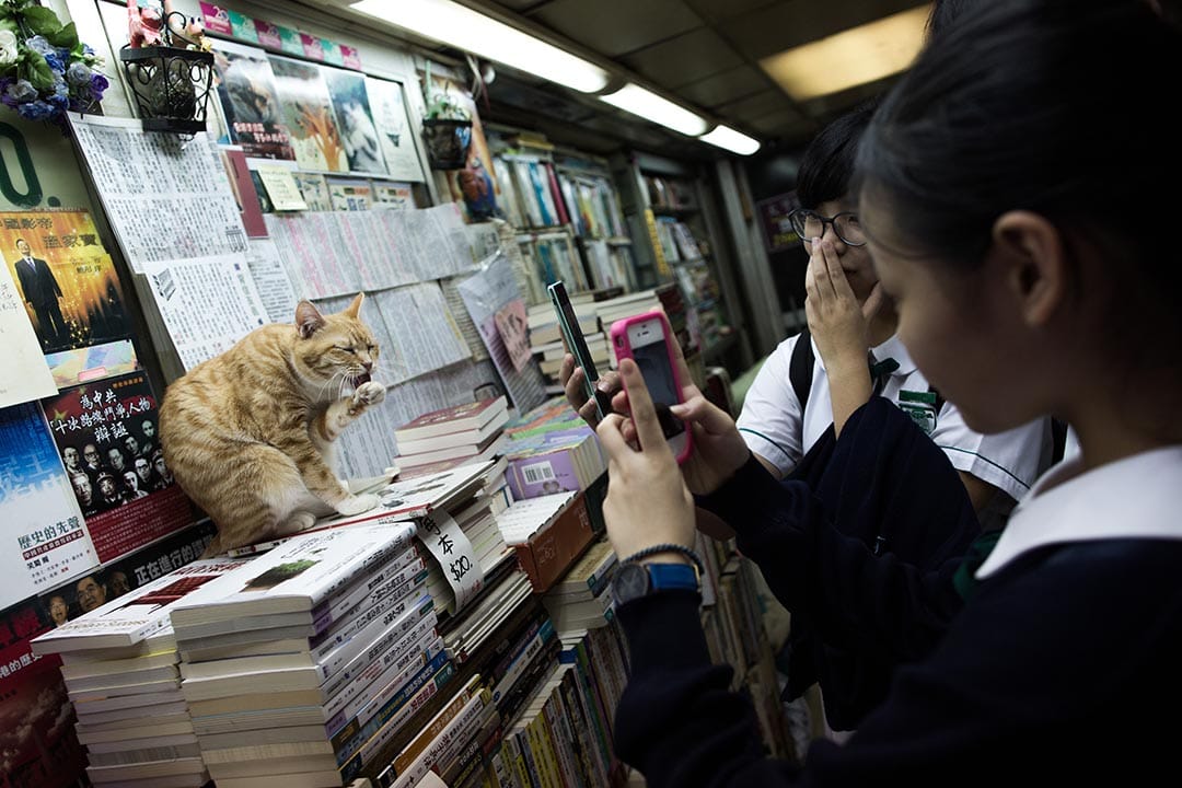 攝：盧翊銘/端傳媒