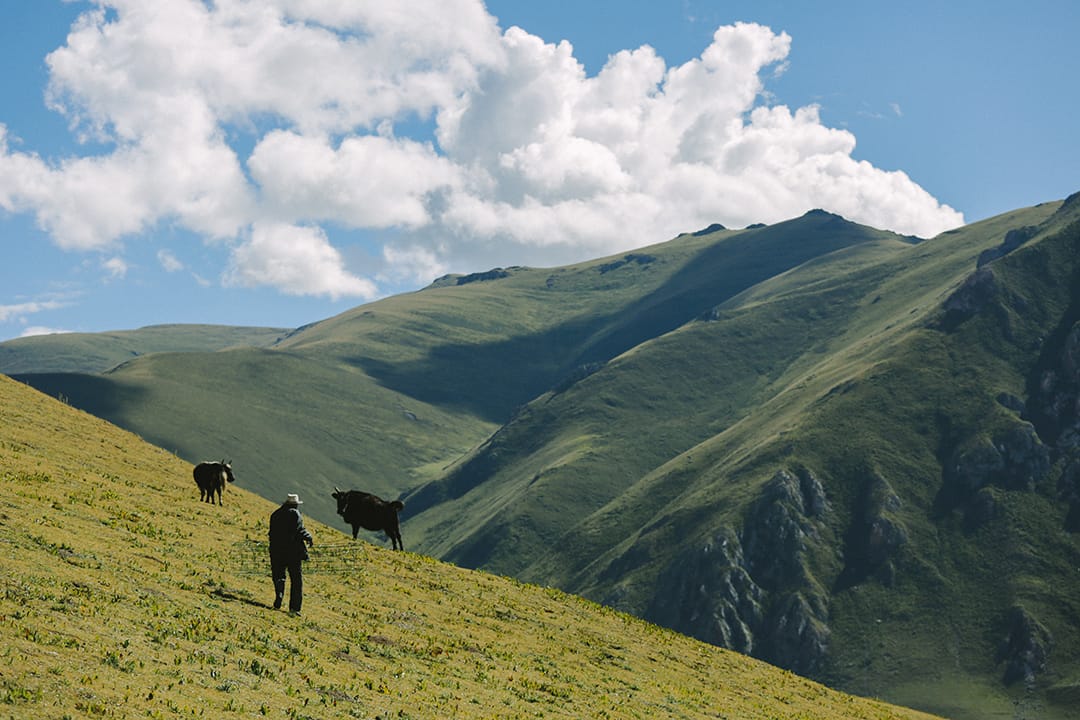 牧民在山上草原放牧。攝 : 王嘉豪/端傳媒