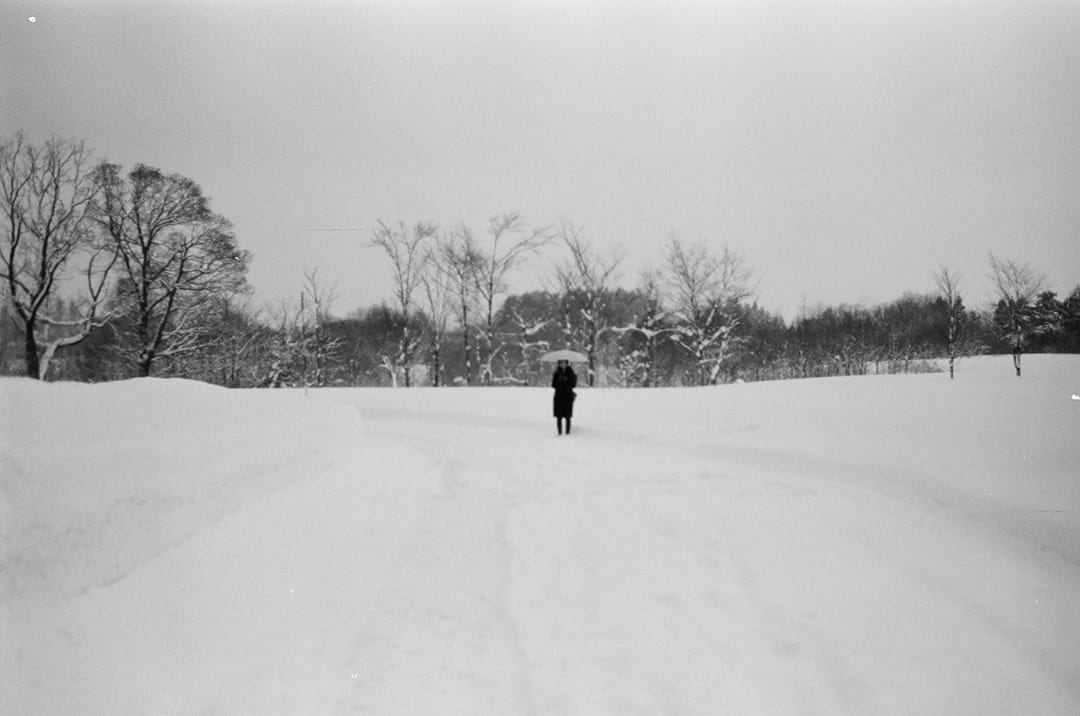 羅玉梅 《黃色肖像》