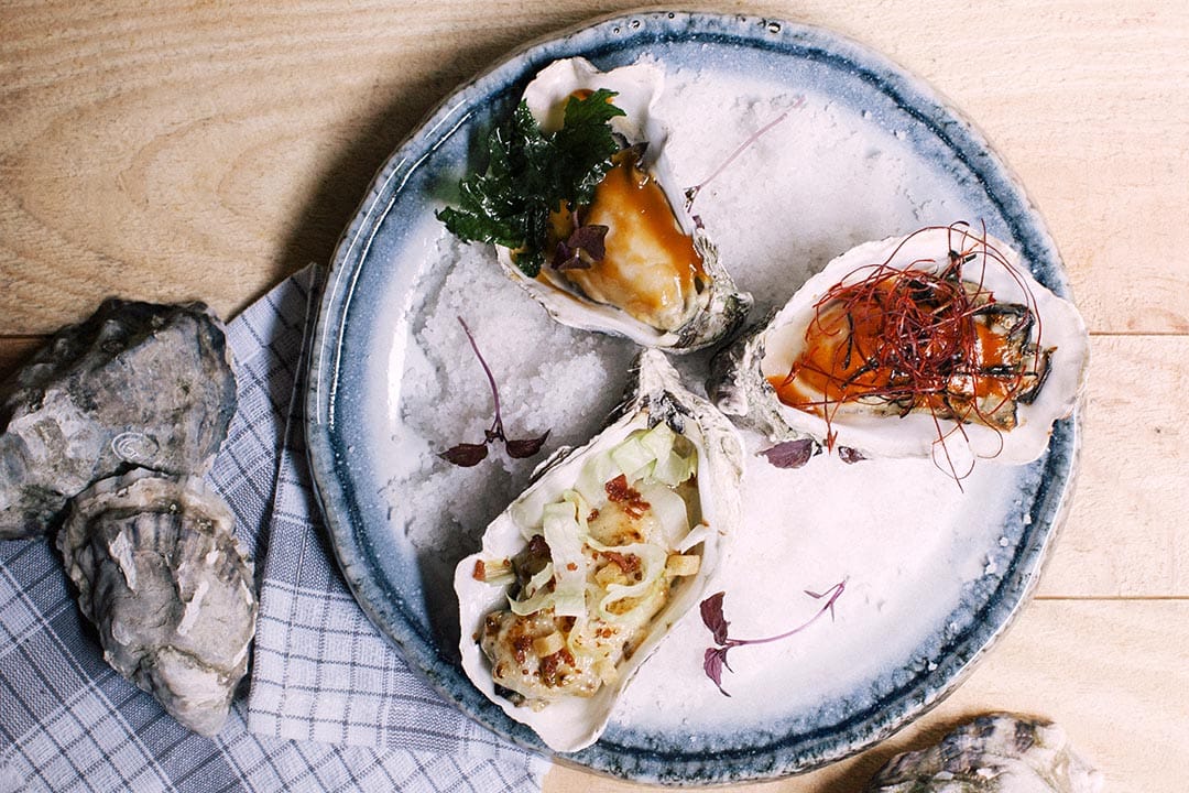 圖片由 The Walrus 提供