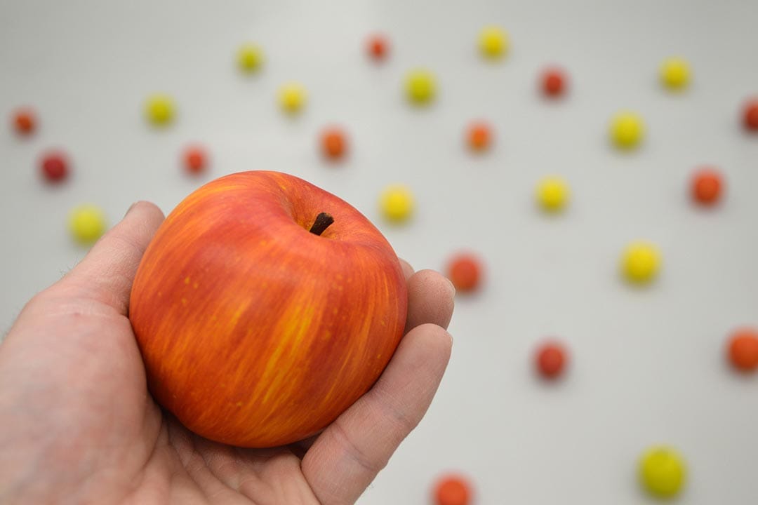 圖片由 Trans Arts Tokyo 2015 提供