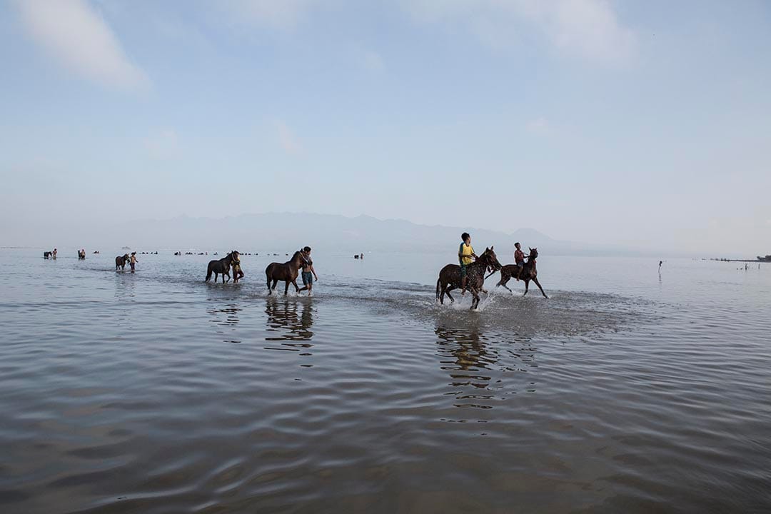 小騎師們帶馬兒到海灘。攝:Putu Sayoga