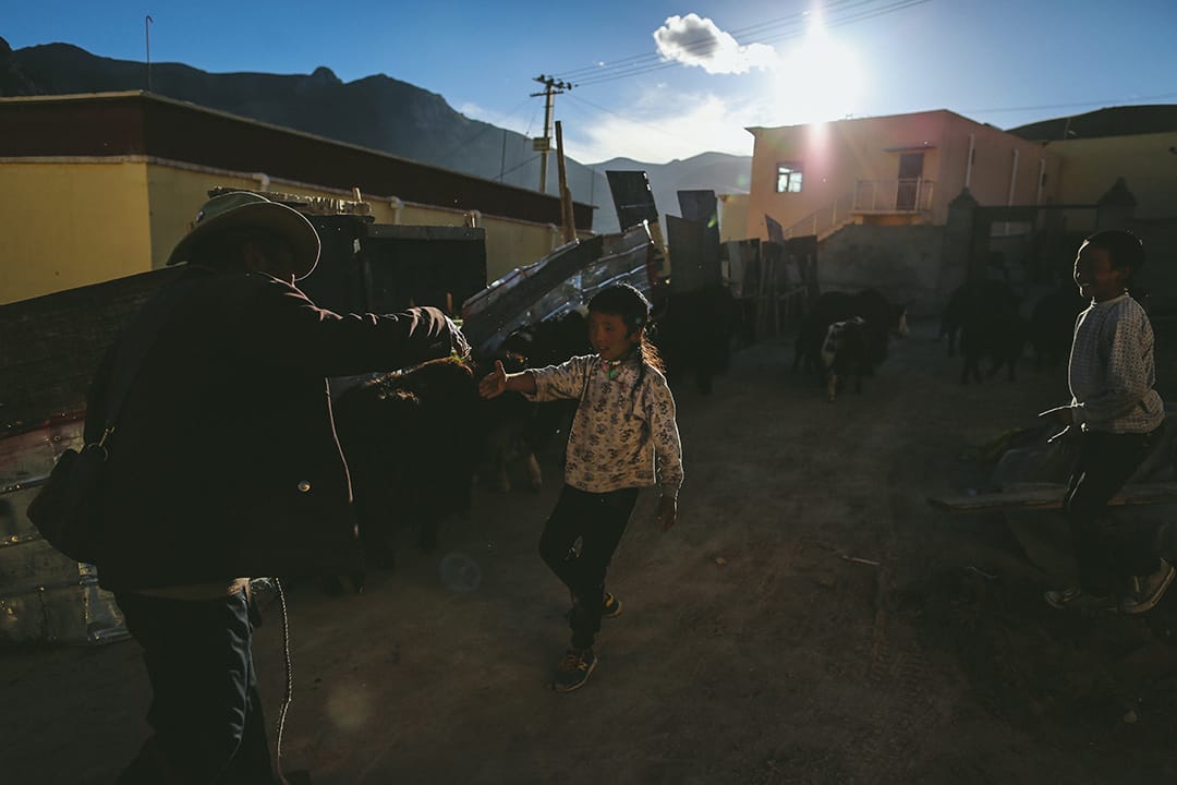  牧民放牧後回到結古鎮附近一個移民村。攝 : 王嘉豪/端傳媒