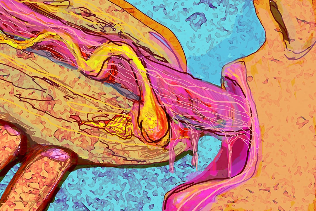 圖:Wilson Tsang / 端傳媒