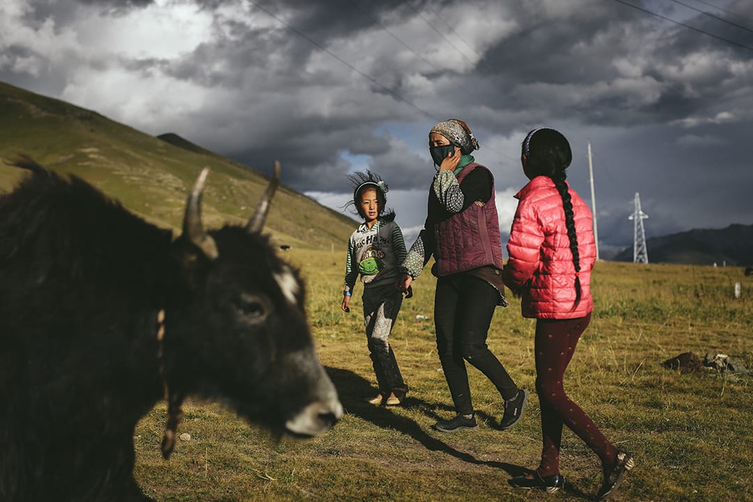 巴塘草原上一個牧民家庭在放牧。攝 : 王嘉豪/端傳媒