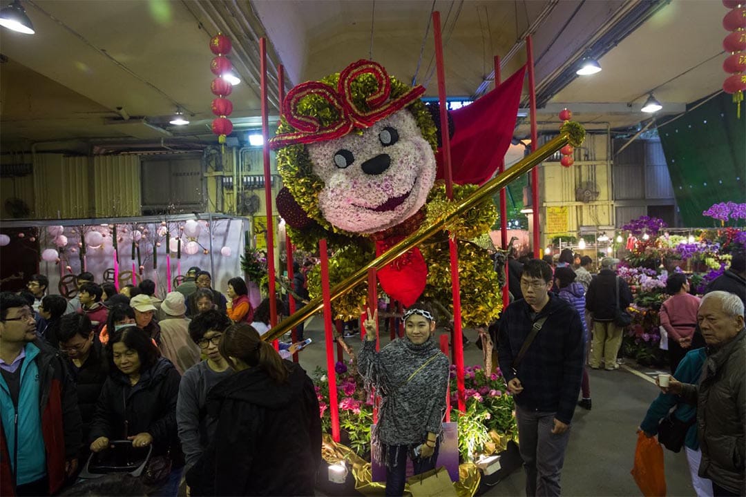 2016年1月30日,台北。攝:Billy.H.C.Kowk/端傳媒