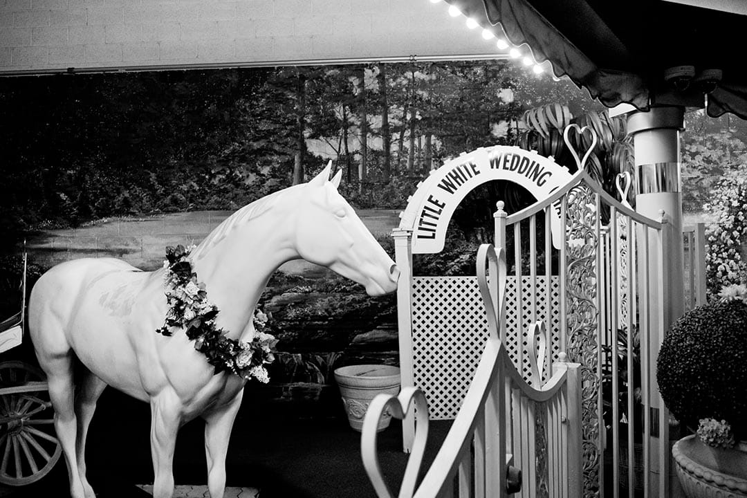 這些小教堂通常還有各種為拍結婚照需要的場景，同時也提供拍攝的服務。