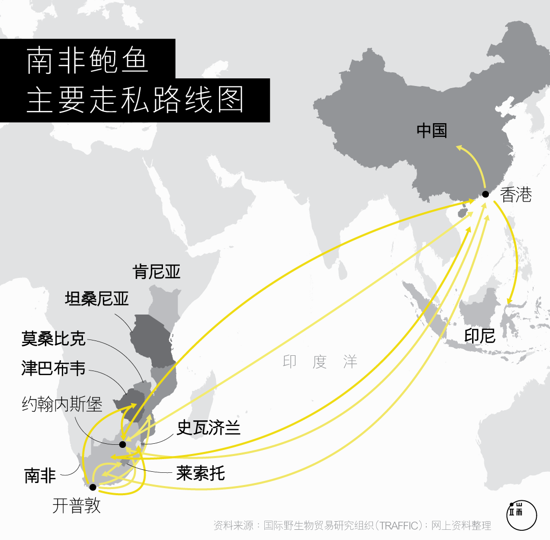 南非鲍鱼主要走私路线图