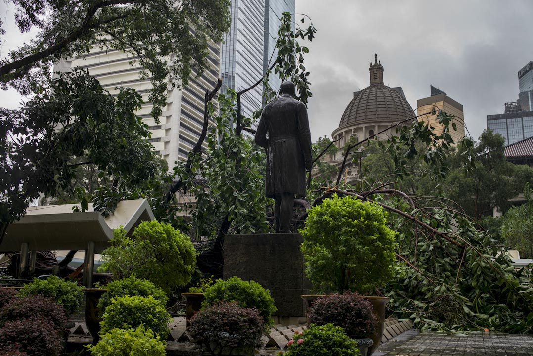 香港終審法院，前為皇后像廣場一棵大樹遭颱風吹倒而塌下來。