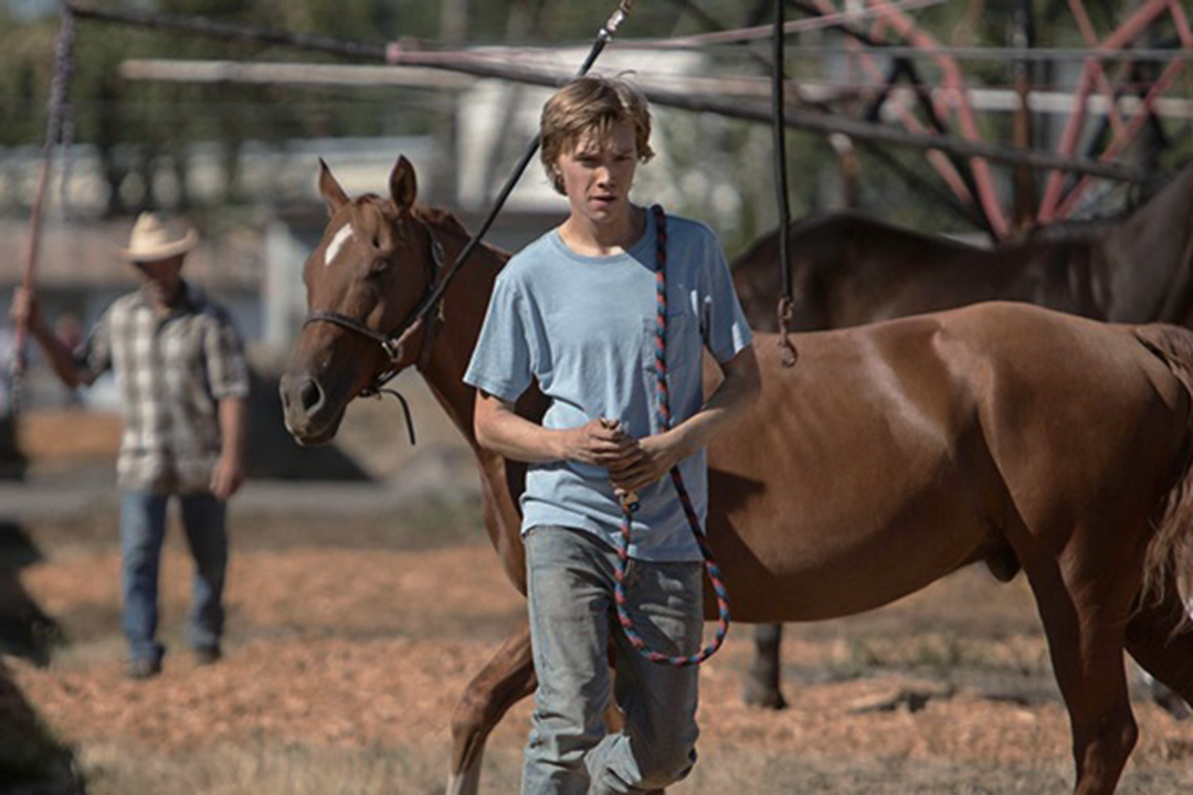 电影《Lean On Pete》剧照 。