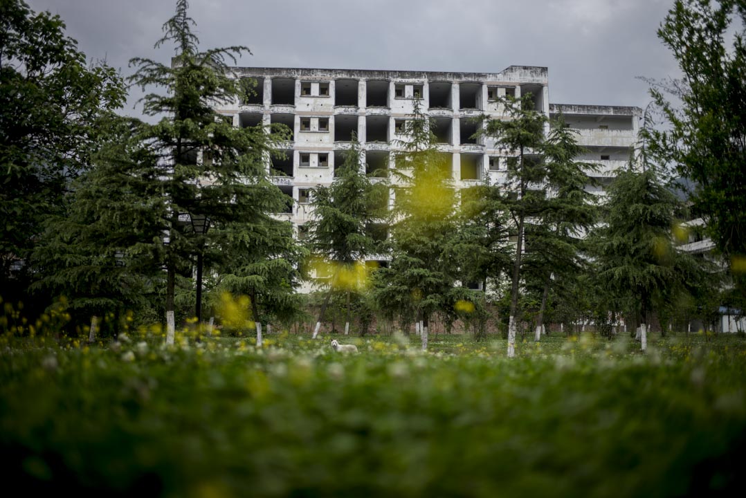 四川漢旺地震遺址，一座震後危樓前，一隻白狗在眺望。