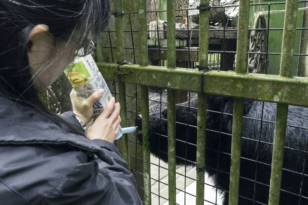 動物在野外有八成的時間都在為了生存而覓食，籠內動物每日早晚固定兩餐，飽食終日，無所事事。