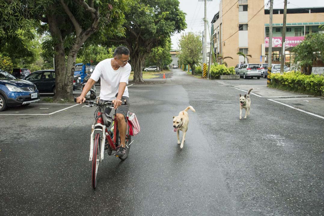 胡梓康與鄰居的兩隻狗，常常結伴前往位於台東糖廠的工作間。