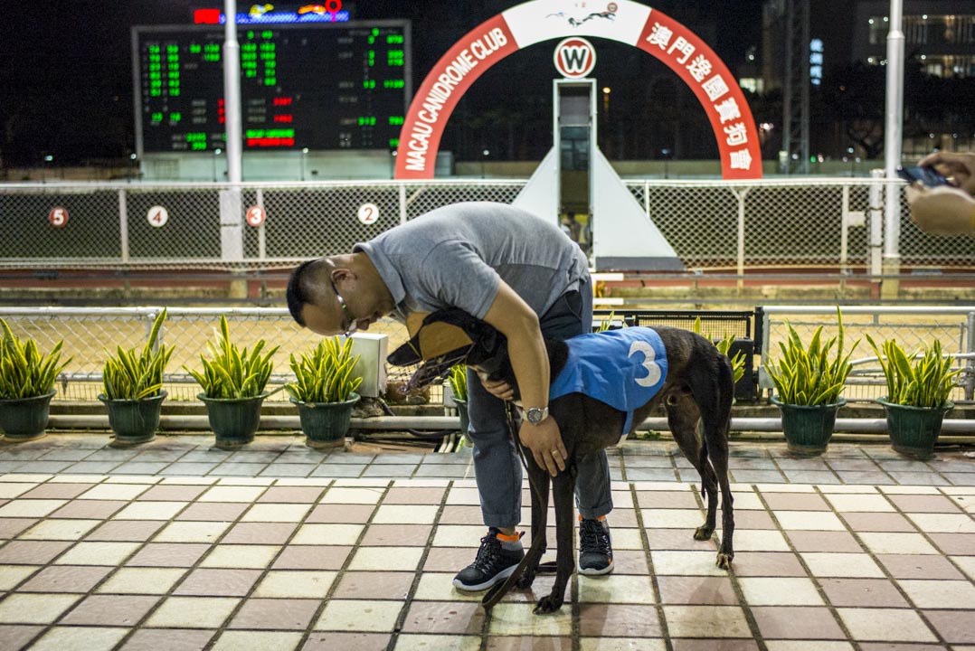 狗主每月均以澳門幣一萬至十萬不等的價錢購入新格力犬，後再以每月澳門幣1750元的費用託付狗園讓練狗師操練。小的賽事勝出可贏澳幣一千至二千元，一些盃賽的獎金則可高至十萬。