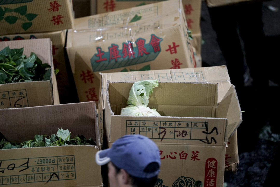 北農市場內的一顆高麗菜。高麗菜，人稱台灣菜母，是台灣最受歡迎的菜種，拍賣量大。