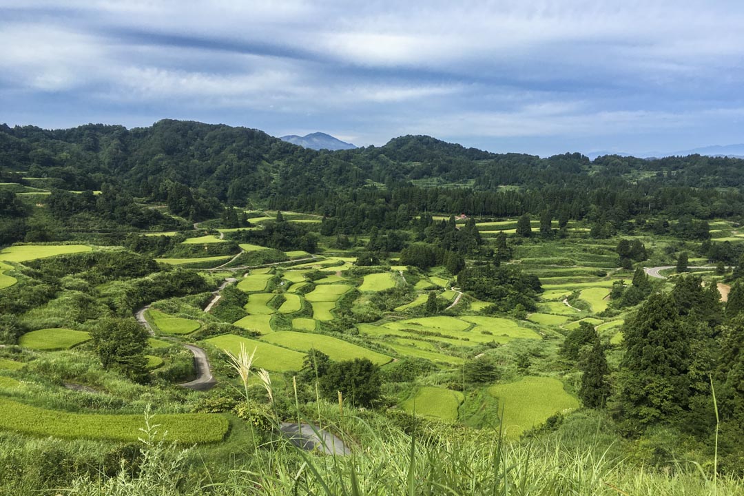 日本“越后妻有大地艺术祭”位于新潟县南部的十日町市和津南町。