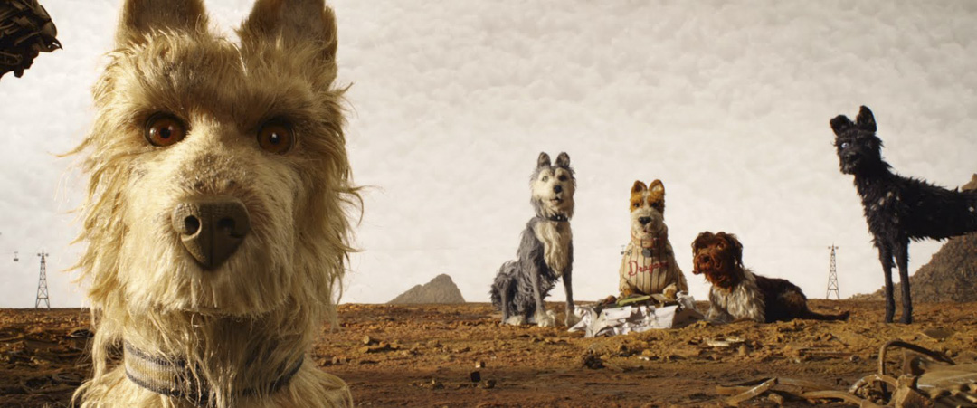 《Isle of Dogs 犬之岛》电影剧照。