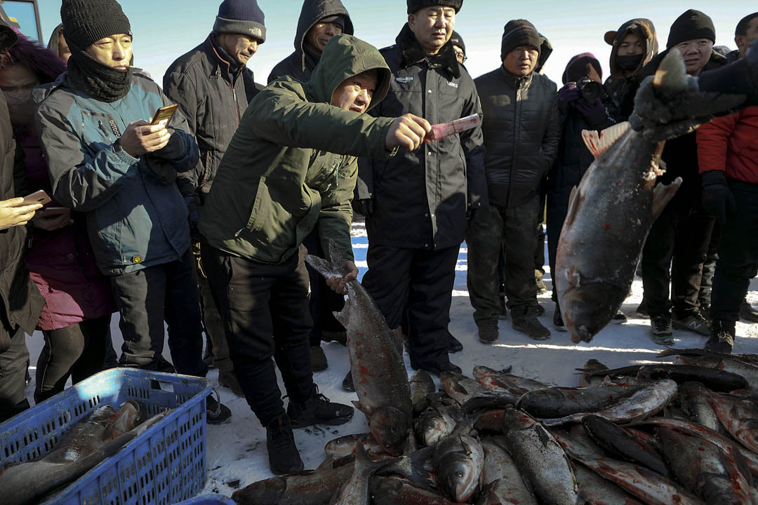 眾多市民趕到冬捕現場購買活魚。