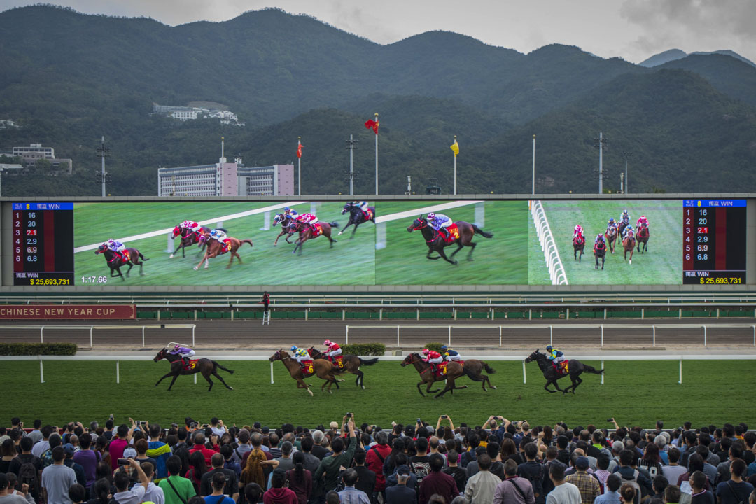 大年初三，市民入场观赏贺岁马。