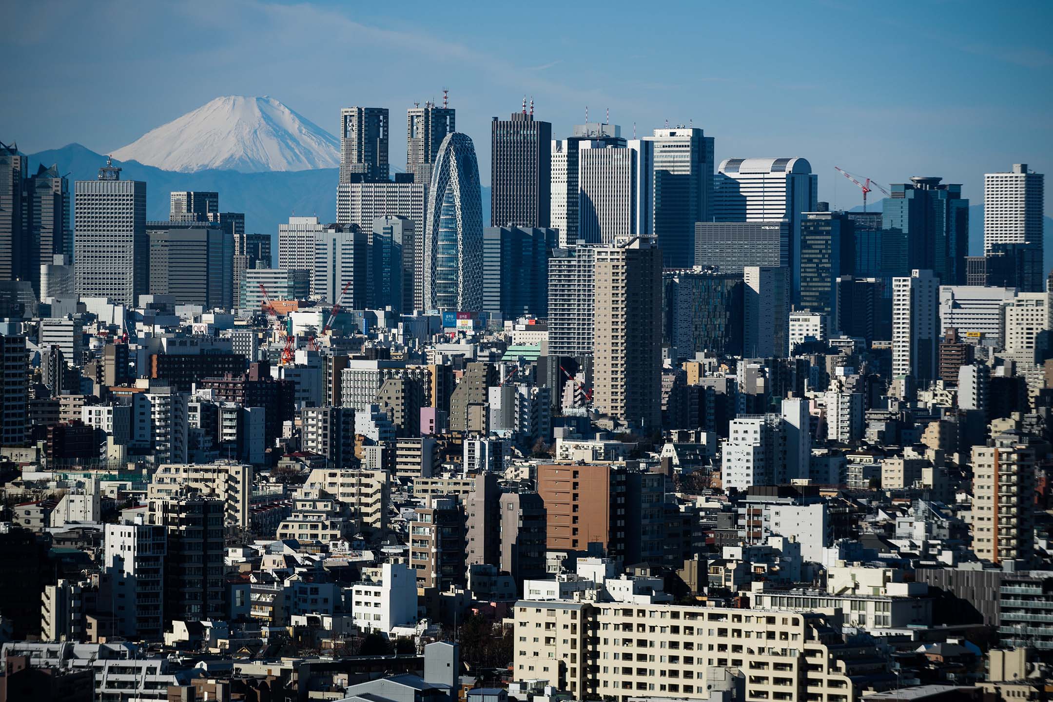 2019年1月11日，富士山与日本东京的建筑物。