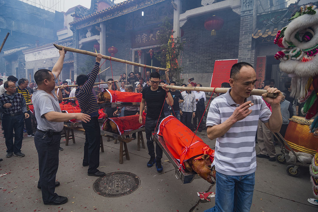 2019年4月4日，中国广东省佛山，村民在清明节前的祭祀仪式期间运载烧猪。