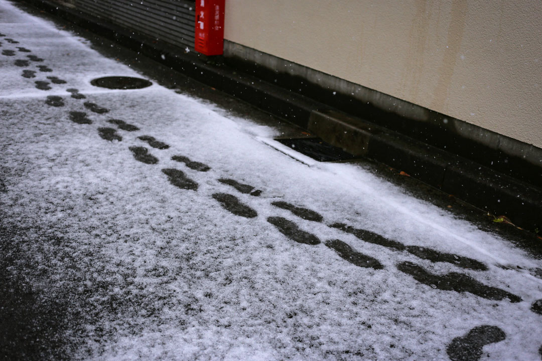 2018年2月2日，日本横滨户冢区住宅区的积雪。