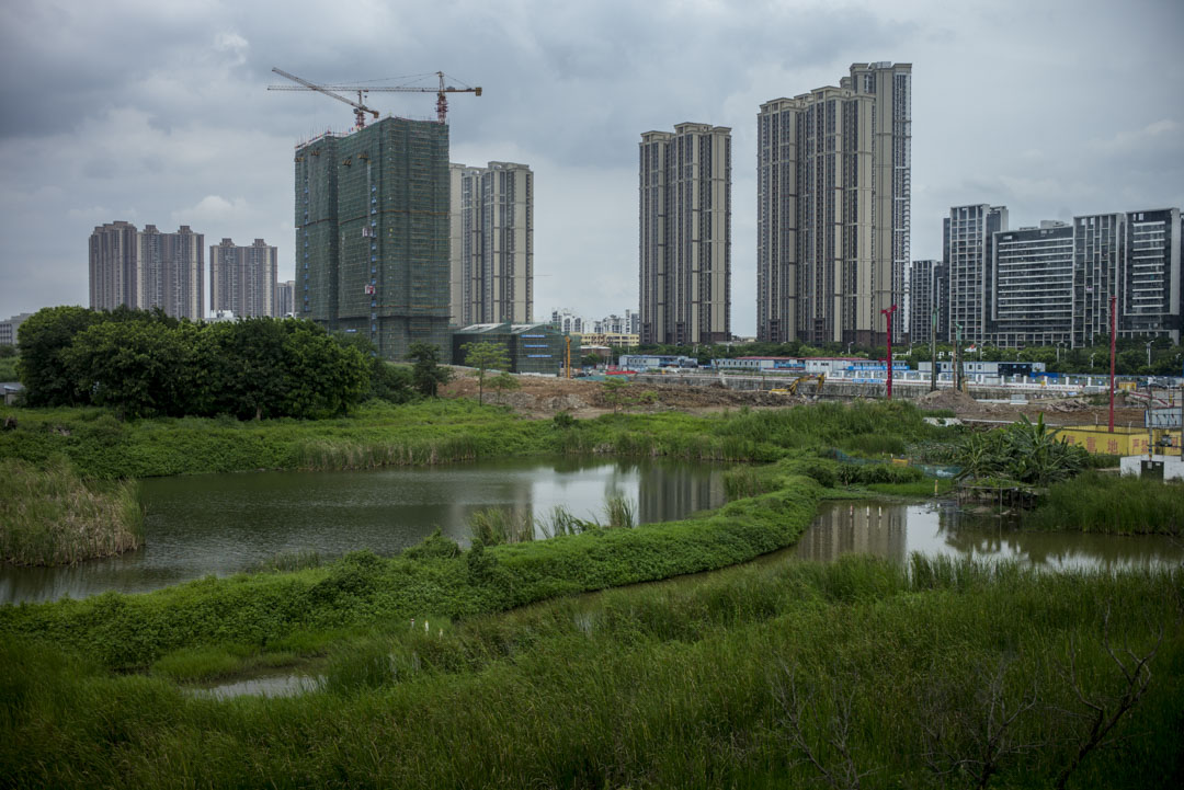 80年代開始，香港「愛國商人」霍英東就到此大舉投資，建議把南沙建成「擁有國際性港口的現代濱海小城」。