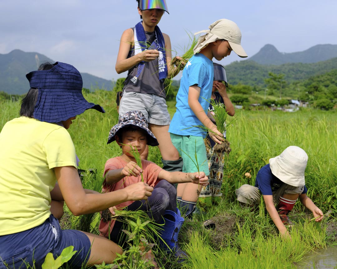 Kids Club稻米工作坊內容包括種米體驗，亦有田間生態觀察、詩歌、濕水彩的學習等等。