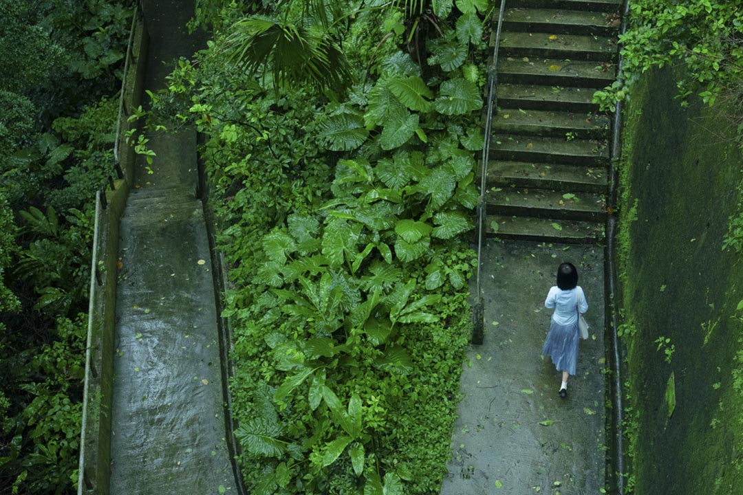 许鞍华作品《第一炉香》剧照。