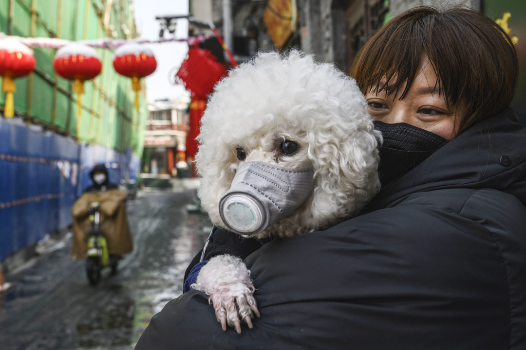 2020年2月7日，北京街上一名女士与她的宠物狗都戴著防护口罩。