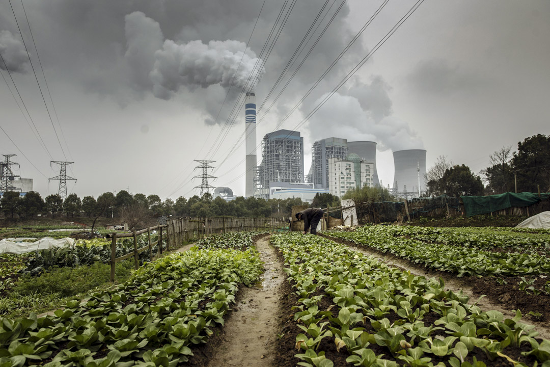 2019年1月16日，中國安徽省銅陵市一家燃煤電廠前有一名男子在田間種菜。