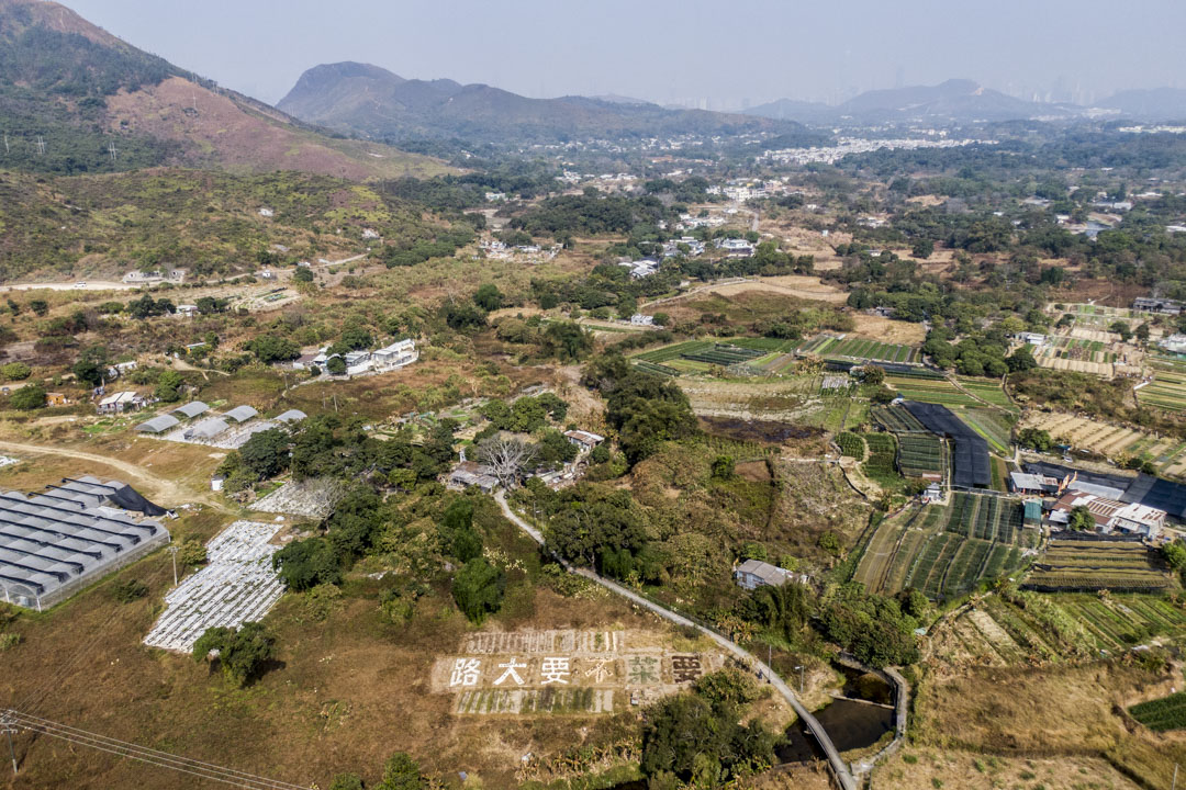 为了表示对新建大马路破坏农地的不满，农民日青和朋友用时令作物在大路拟建的位置上种出五个大字：“要！菜！不！要！大！路”。