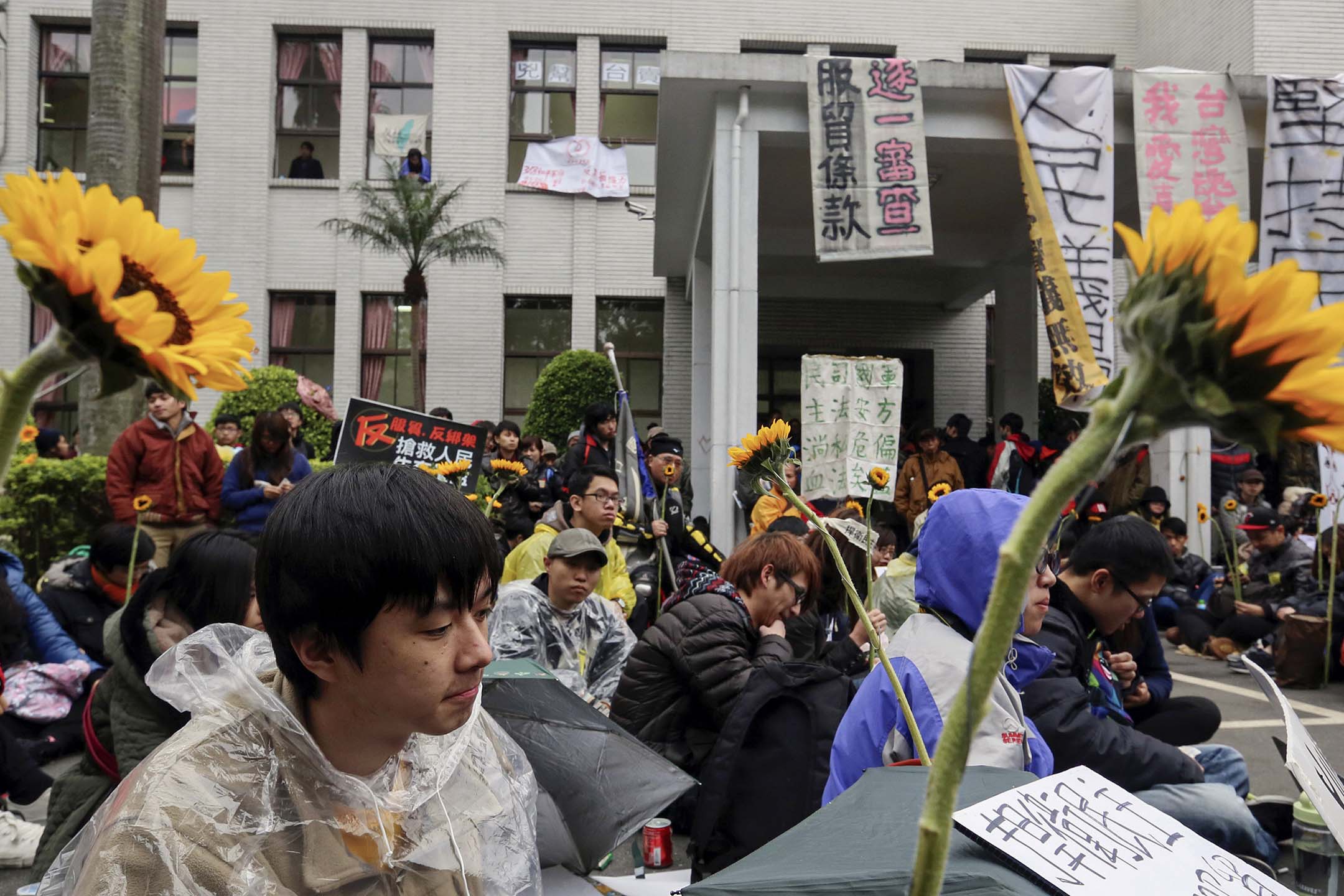 2014年3月21日台北，学生们拿着向日葵坐在台湾立法机关外。