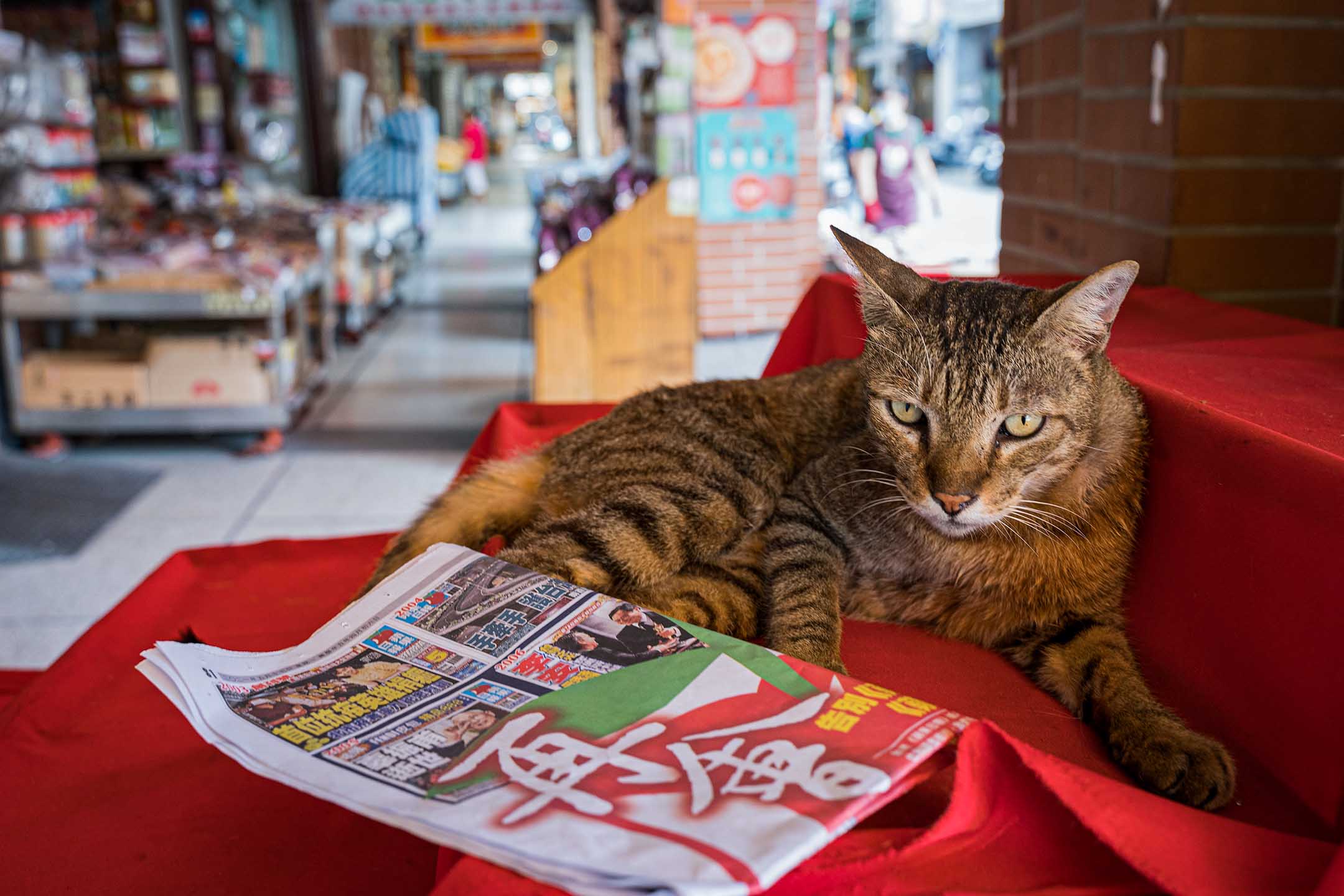 2021年5月17日在台北，最后一天的纸本苹果日报。