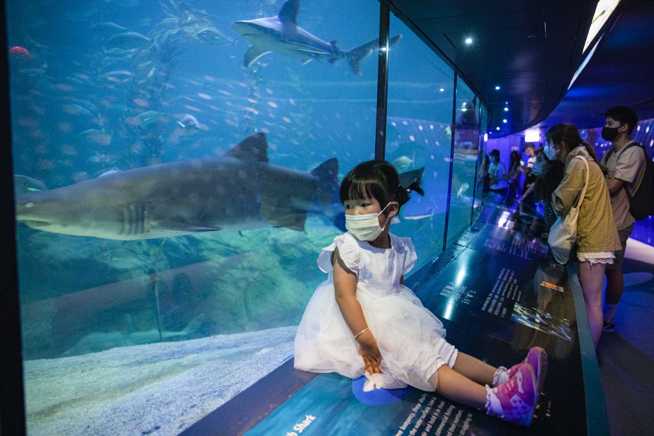 2021年4月15日，一個女孩在鯊魚館内。