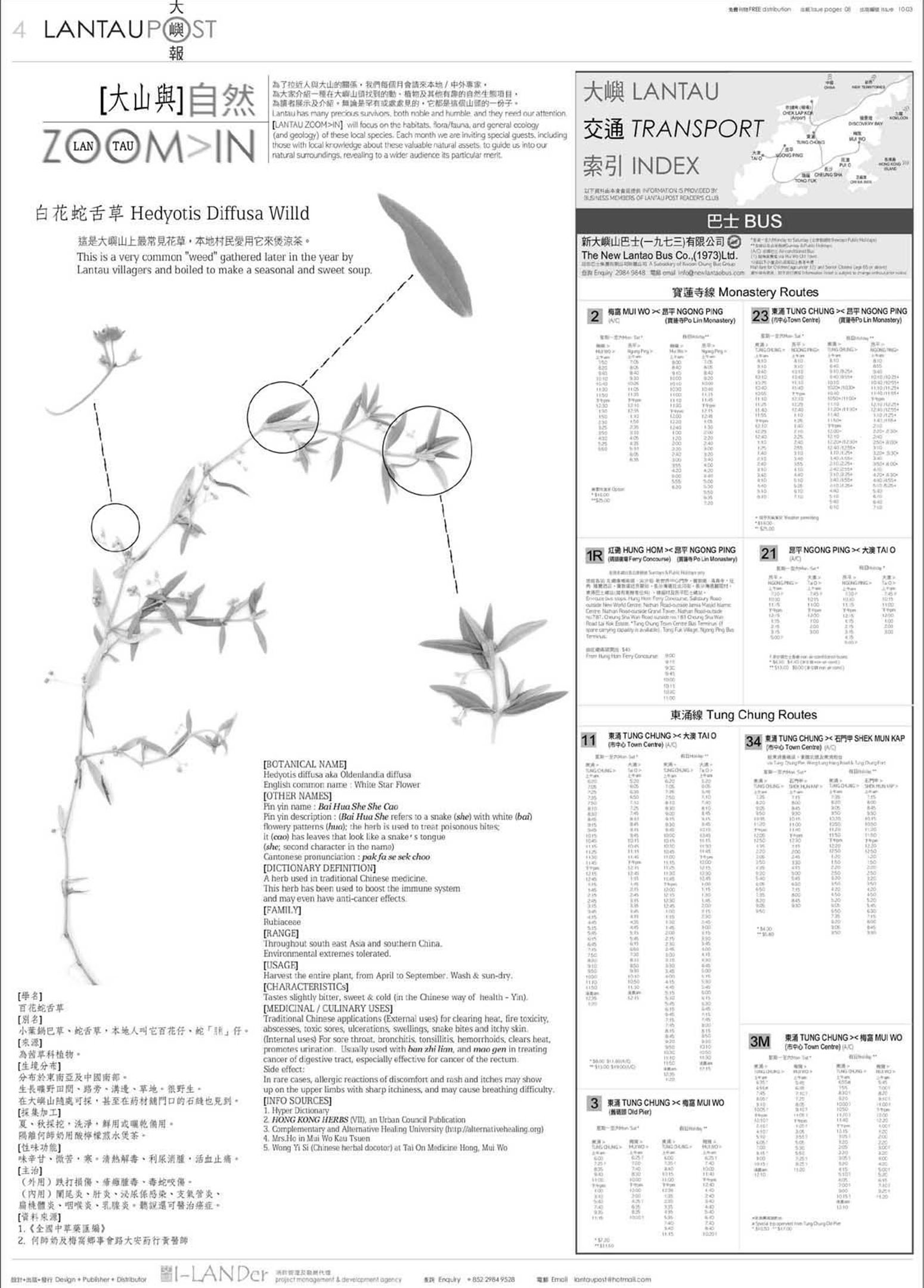 《大屿报》十月号。 