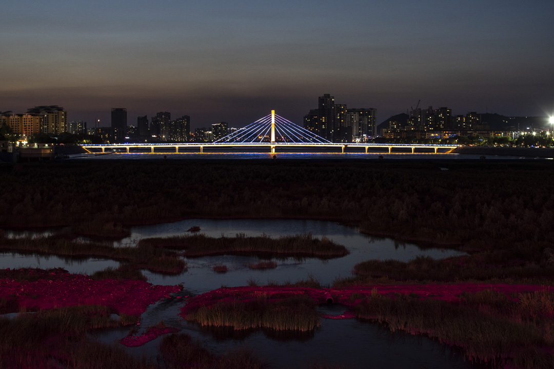 夜间的大柳塔。