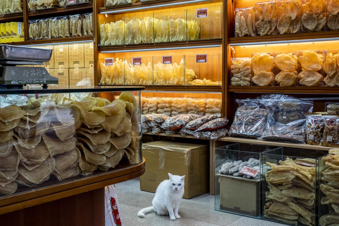 香港上环不少海味店都有出售价钱昂贵的巴西花胶。